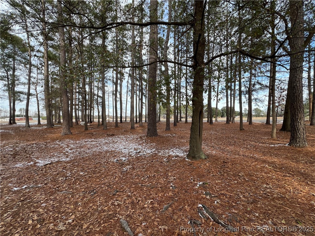 1002-1006 Old Baker Road Maxton, NC 28364 - Photo 12 of 14 Gallery Image 12
