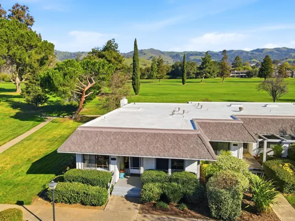 an aerial view of a house with a yard and potted plants