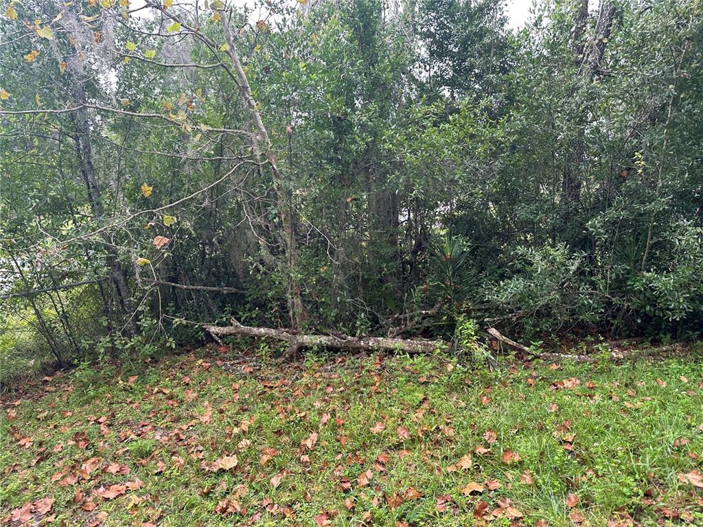 2713 Adams Street West Inverness, FL 34453 - Photo 2 of 11 a view of outdoor space and yard