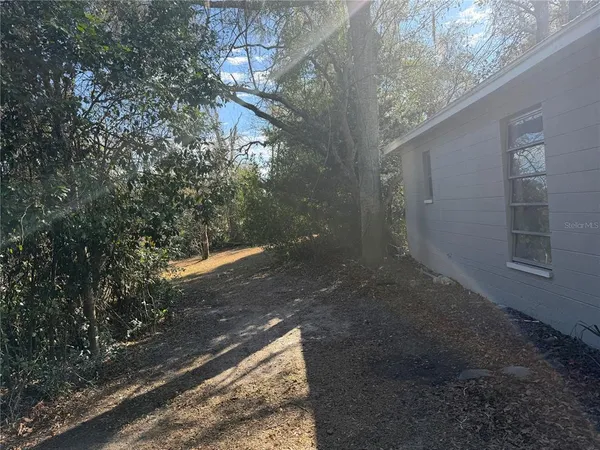 a view of a yard with trees