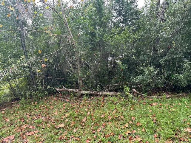 a view of outdoor space and yard