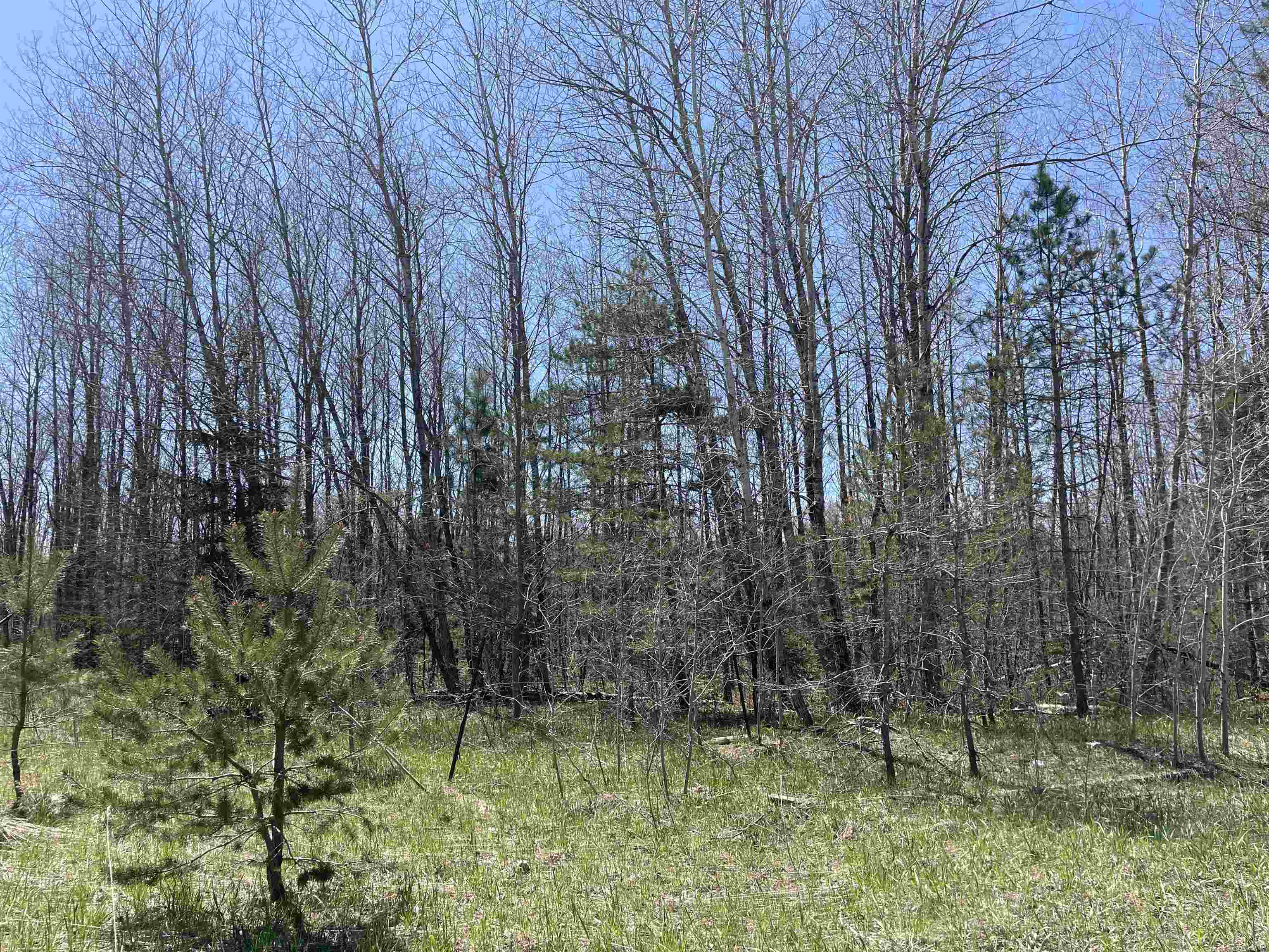 0 East 38 Road Cadillac, MI 49601 - Photo 4 of 39