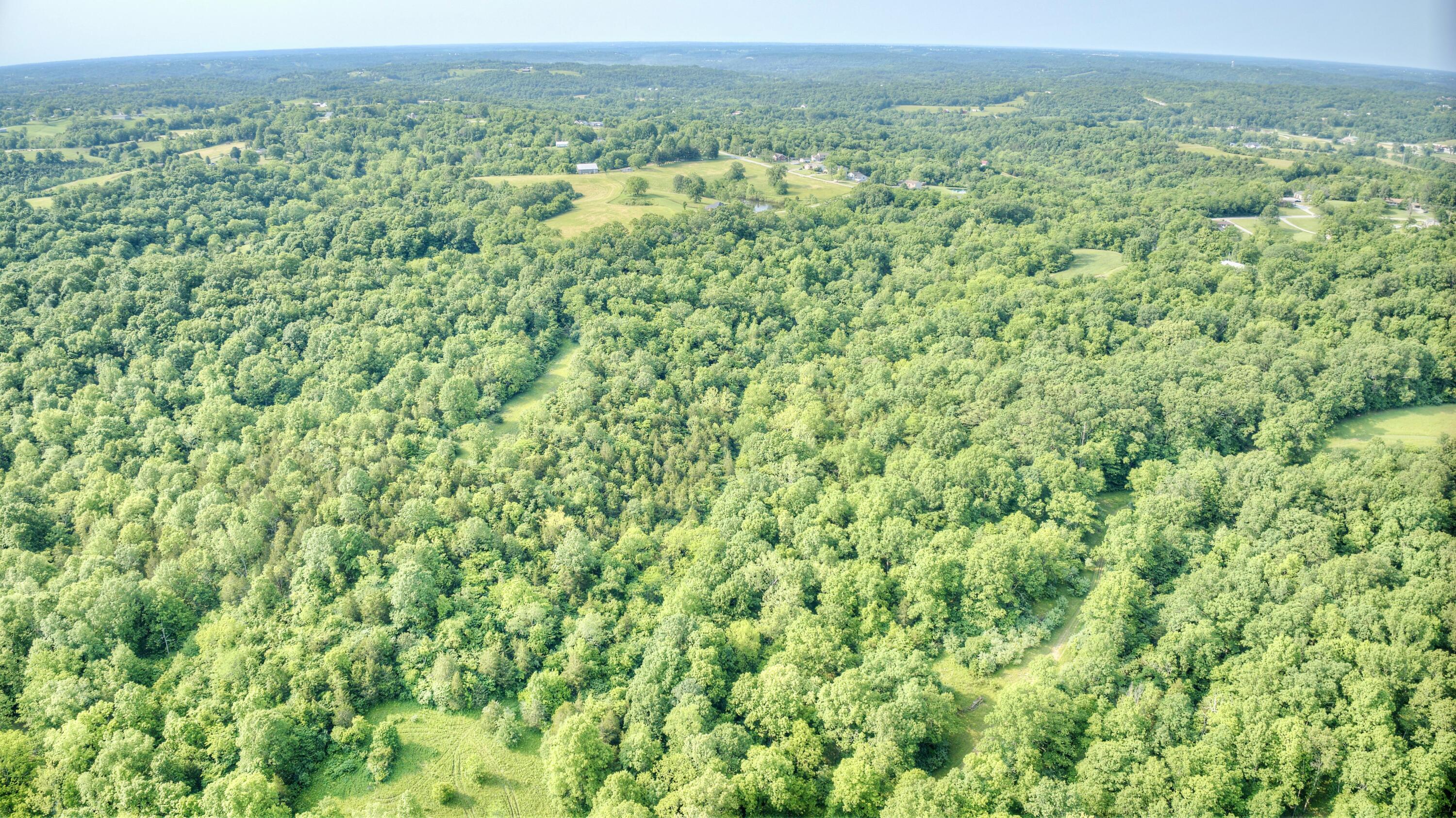 0 Peach Grove Road California, KY 41007 - Photo 11 of 22 09