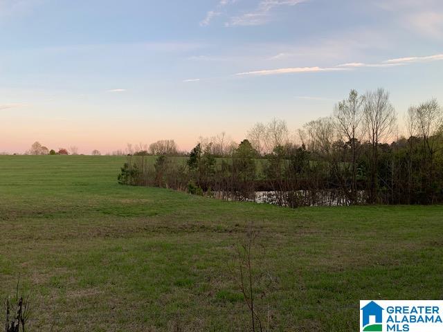 29 Highway Oneonta Al, Unit 70 Oneonta, AL 35121 - Photo 5 of 10