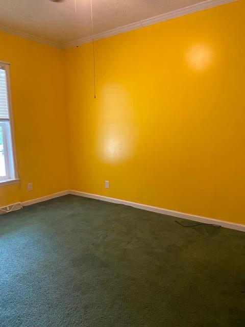1568 Blackstone Road Kenbridge, VA 23944 - Photo 18 of 34 Gallery Image 18
