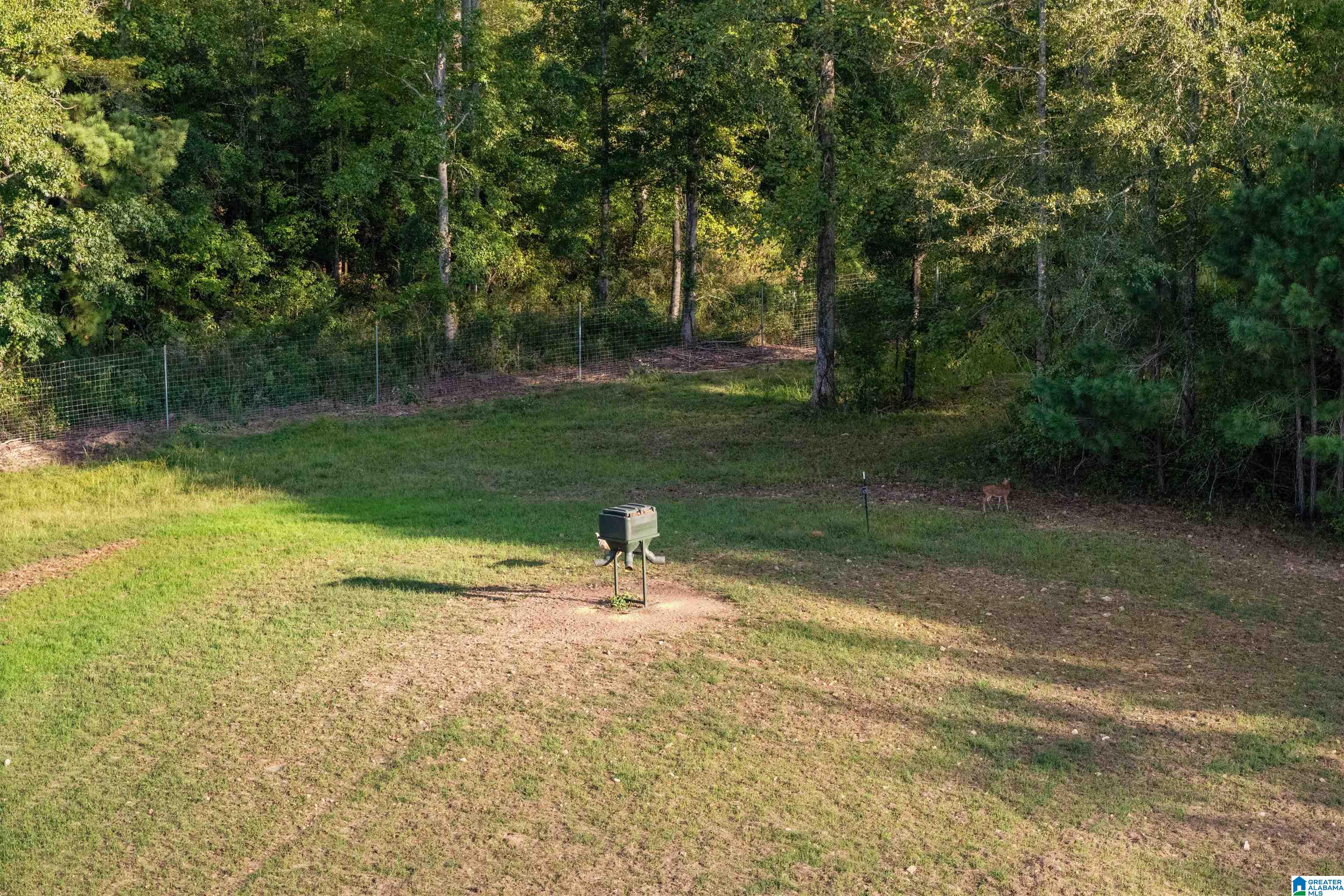 470 Gilham Road Roanoke, AL 36274 - Photo 68 of 70