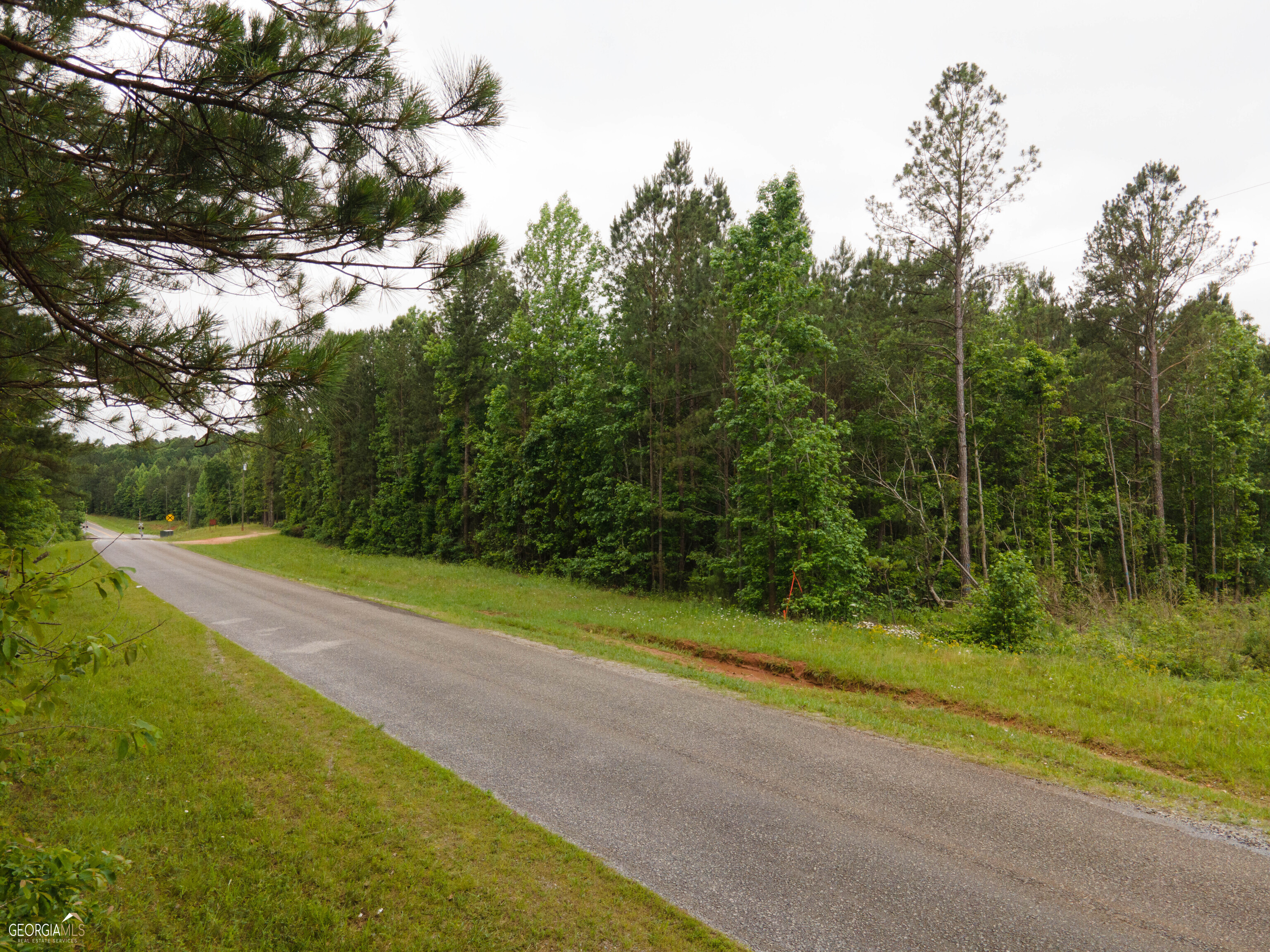 6.12-ac Nitra Road, Unit TRACT 2 Bremen, GA 30110 - Photo 1 of 1 Gallery Image 1