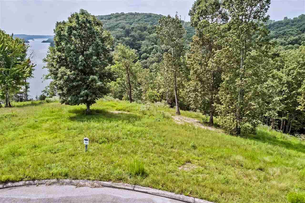 0 River Run Trail Spring City, TN 37381 - Photo 6 of 8 7