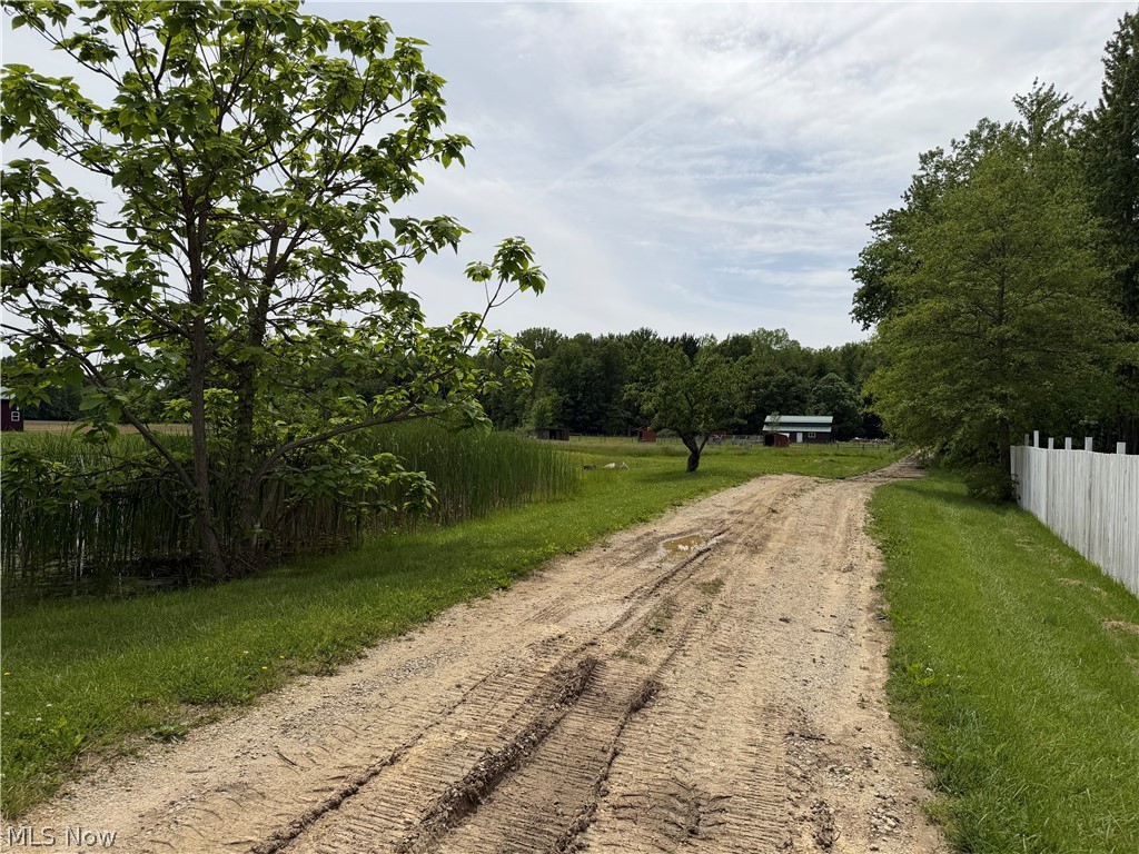 12034 Root Road Columbia Station, OH 44028 - Photo 29 of 31