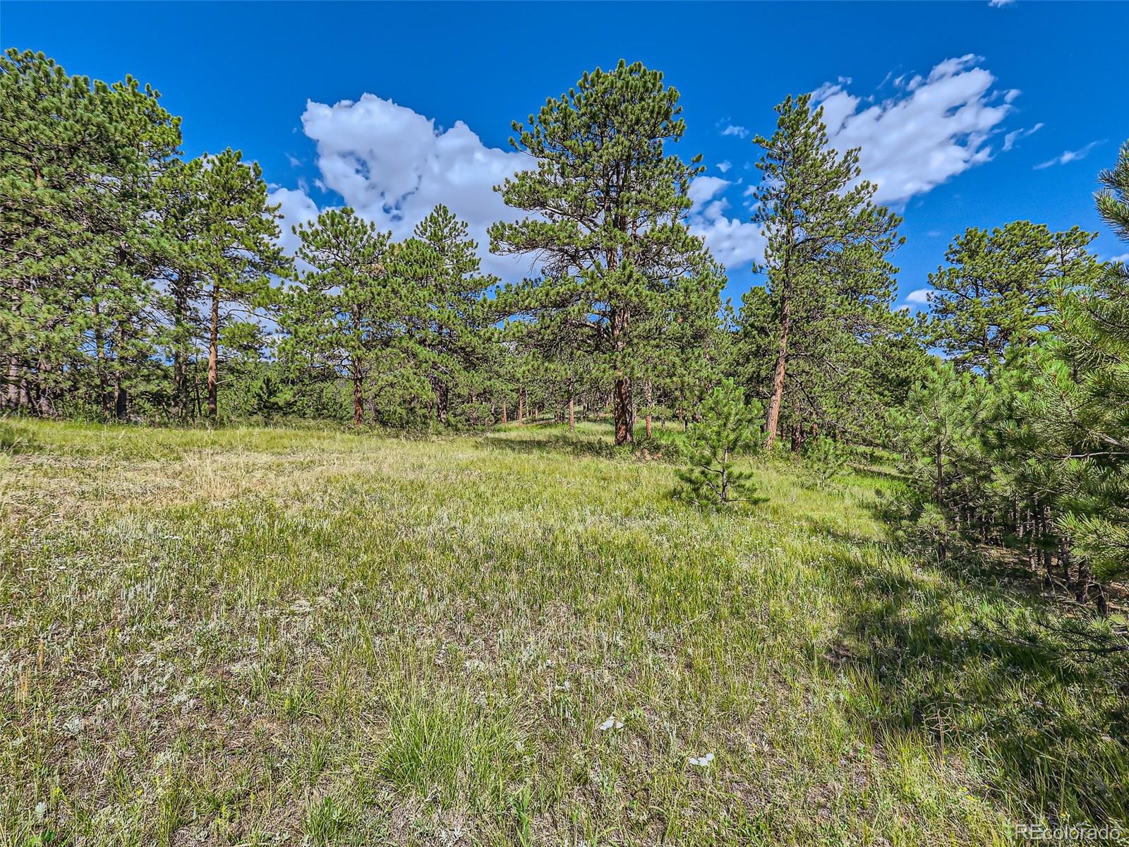 2117 Wieler Road Evergreen, CO 80439 - Photo 19 of 40 Gallery Image 19