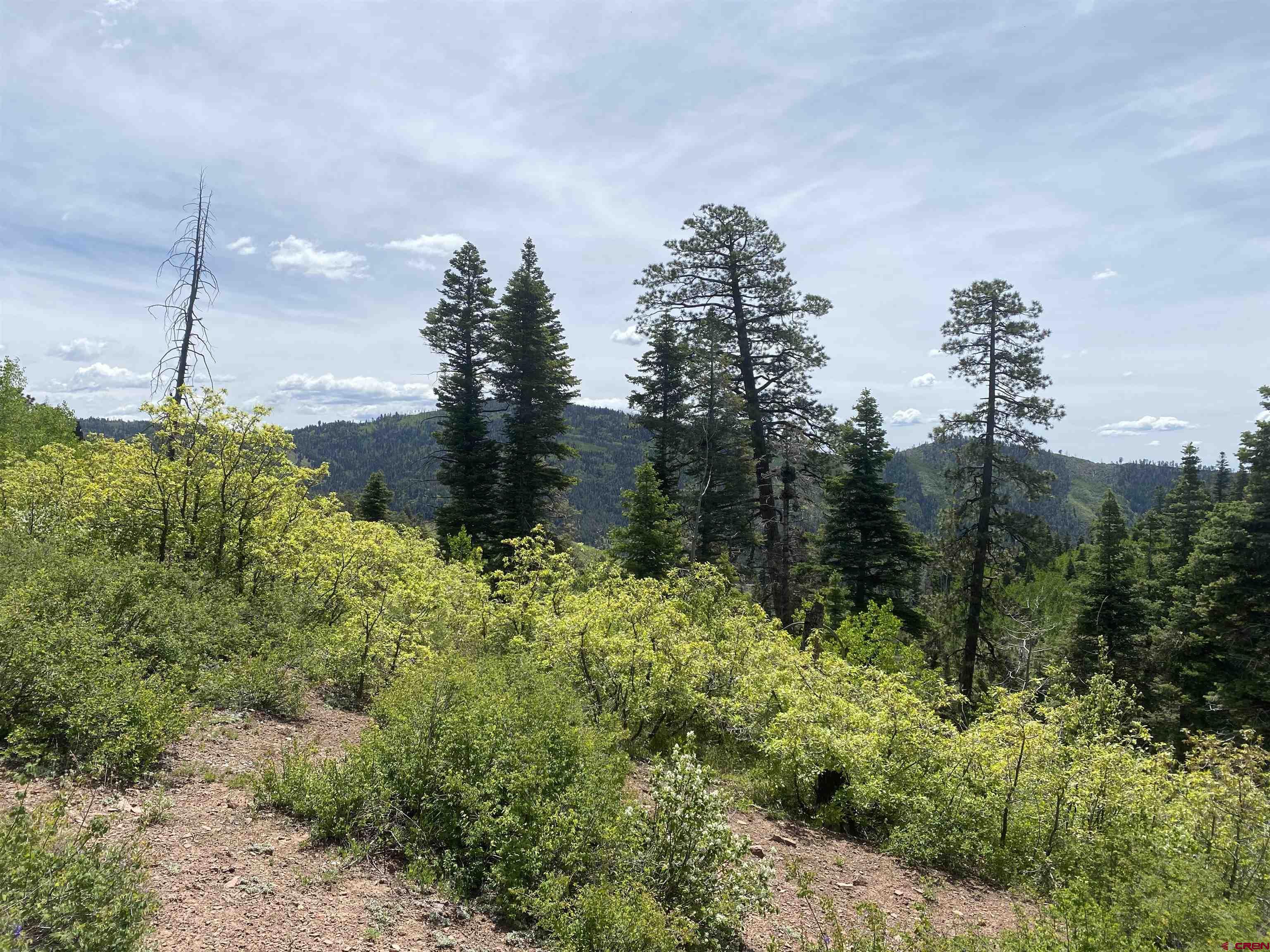 243 County Road 243 Durango, CO 81301 - Photo 4 of 10 a view of a garden
