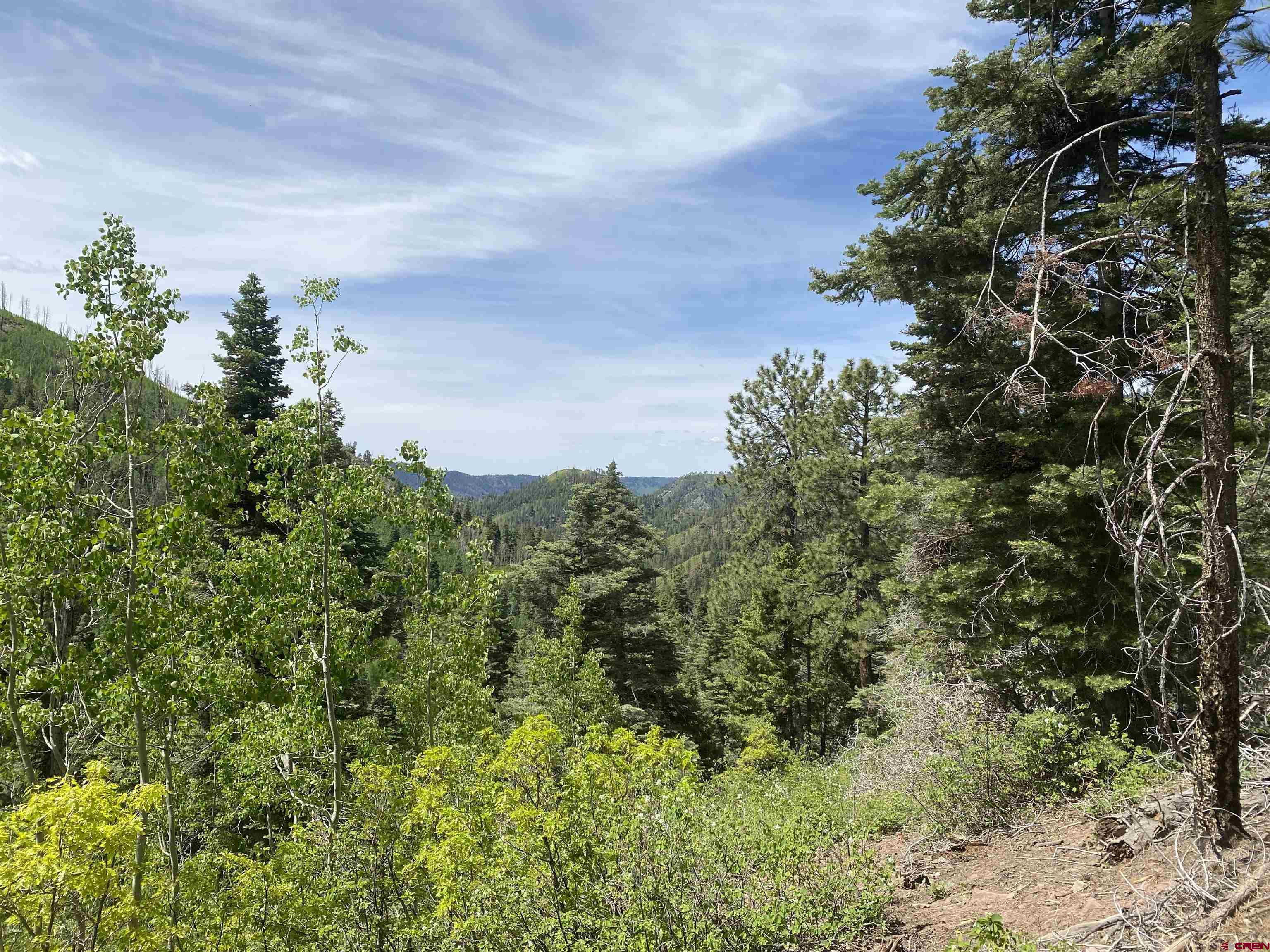 243 County Road 243 Durango, CO 81301 - Photo 5 of 10