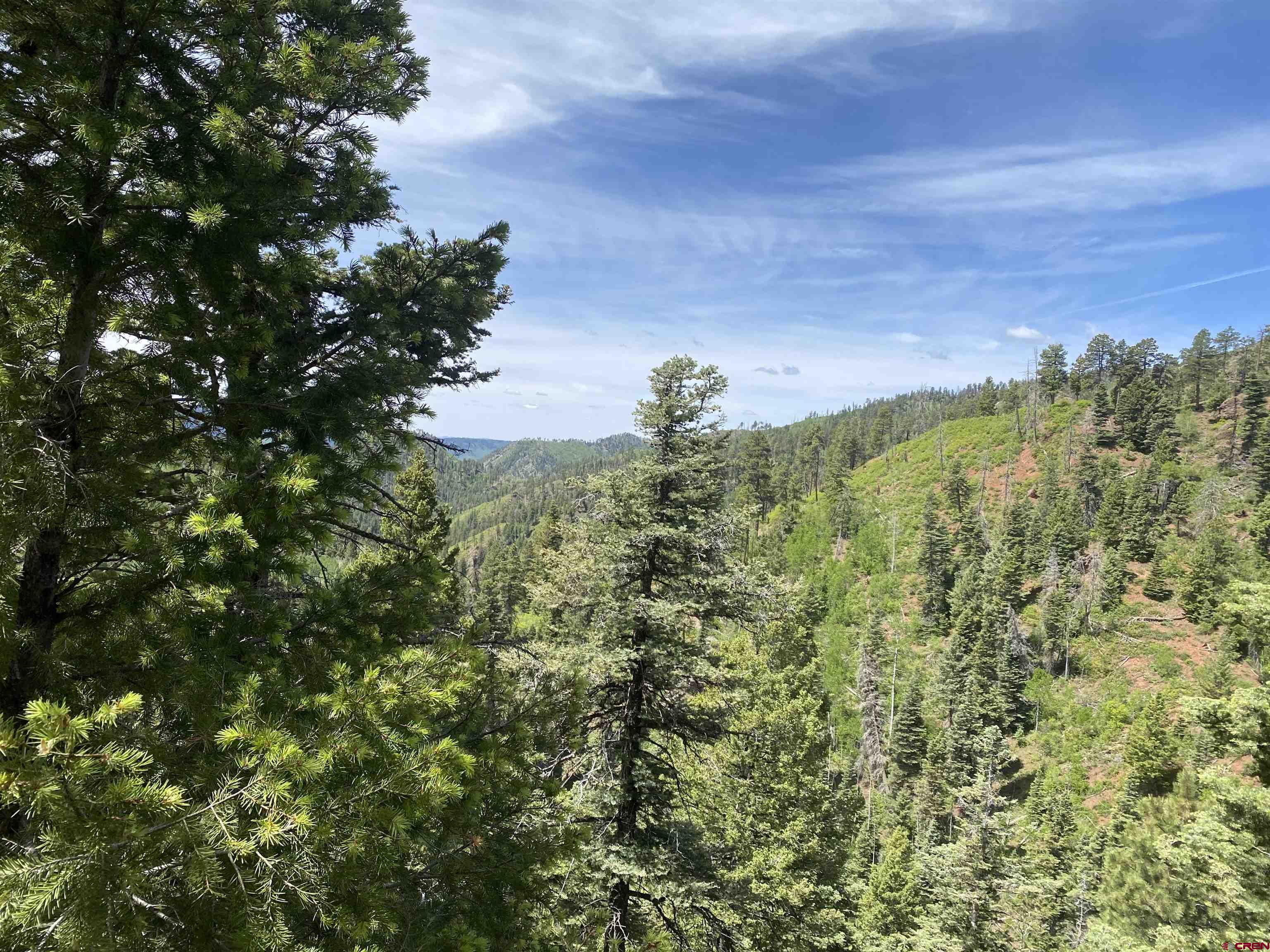 243 County Road 243 Durango, CO 81301 - Photo 6 of 10 a view of a yard with a tree