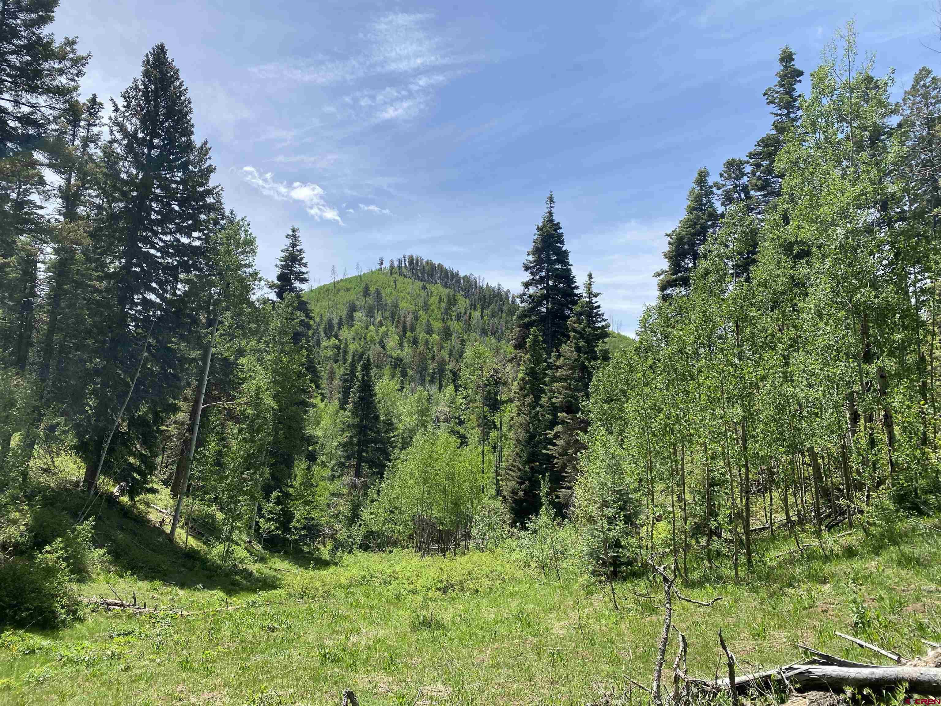 243 County Road 243 Durango, CO 81301 - Photo 8 of 10 a view of a garden