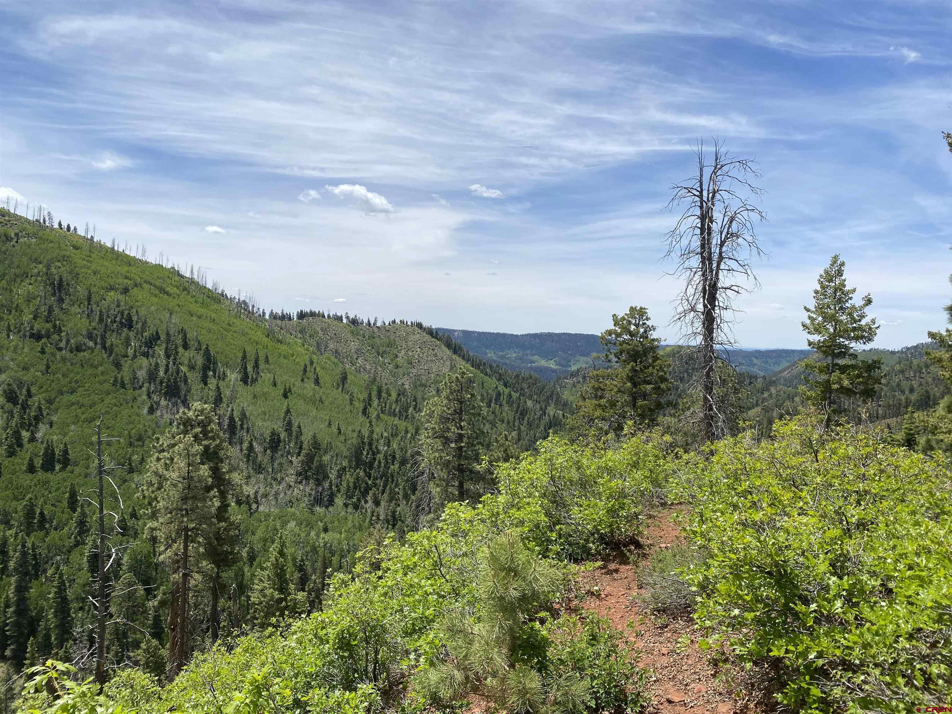 243 County Road 243 Durango, CO 81301 - Photo 9 of 10 a view of a city with lush green forest