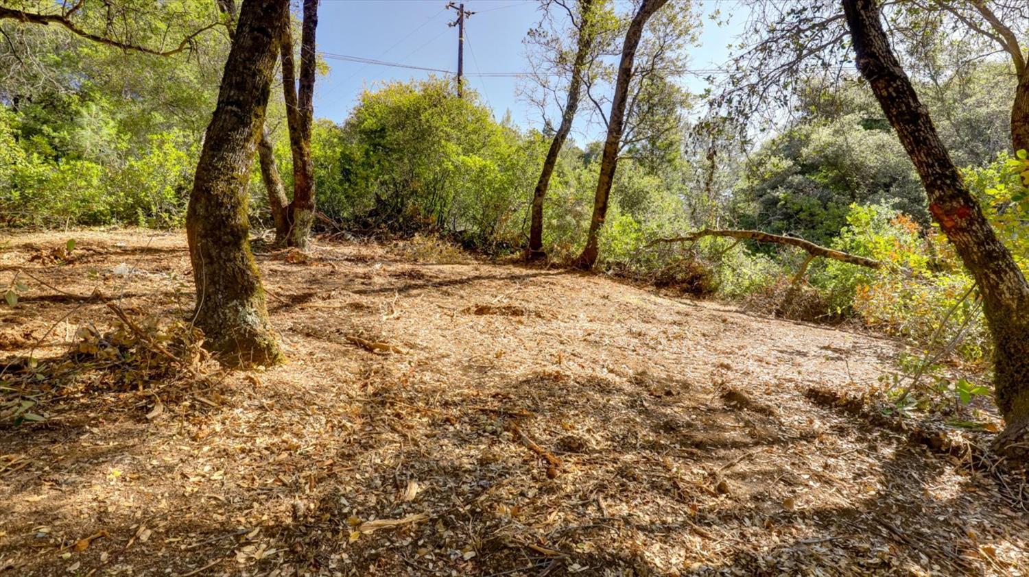 0 Southridge Road Penn Valley, CA 95946 - Photo 65 of 72