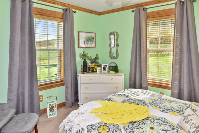 1500 Fish Creek Road Bancroft, ID 83217 - Photo 16 of 45 Bedroom with carpet floors and baseboards