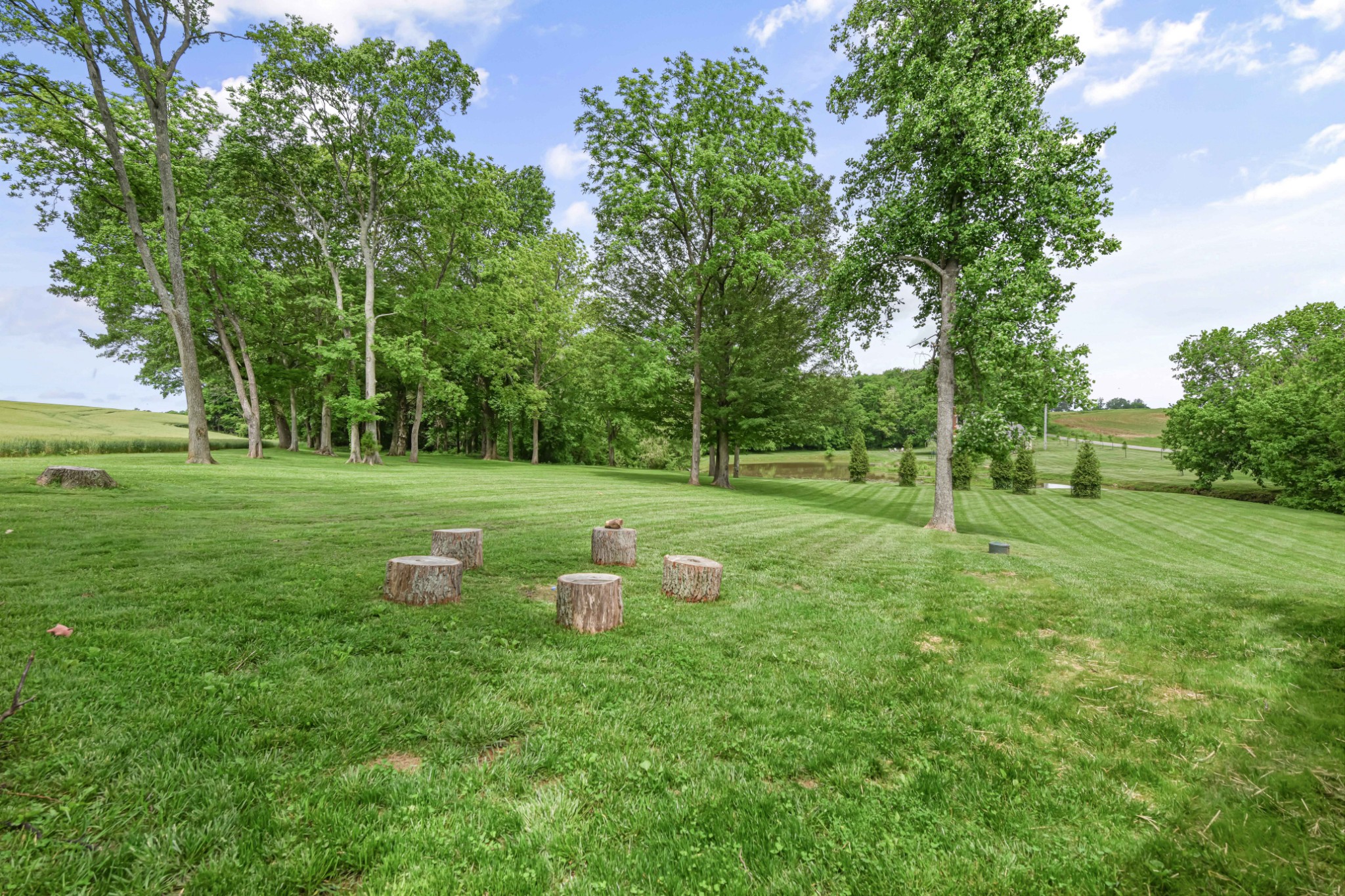 6557 Lamont Road Springfield, TN 37172 - Photo 58 of 62 a view of a table and chairs in the garden