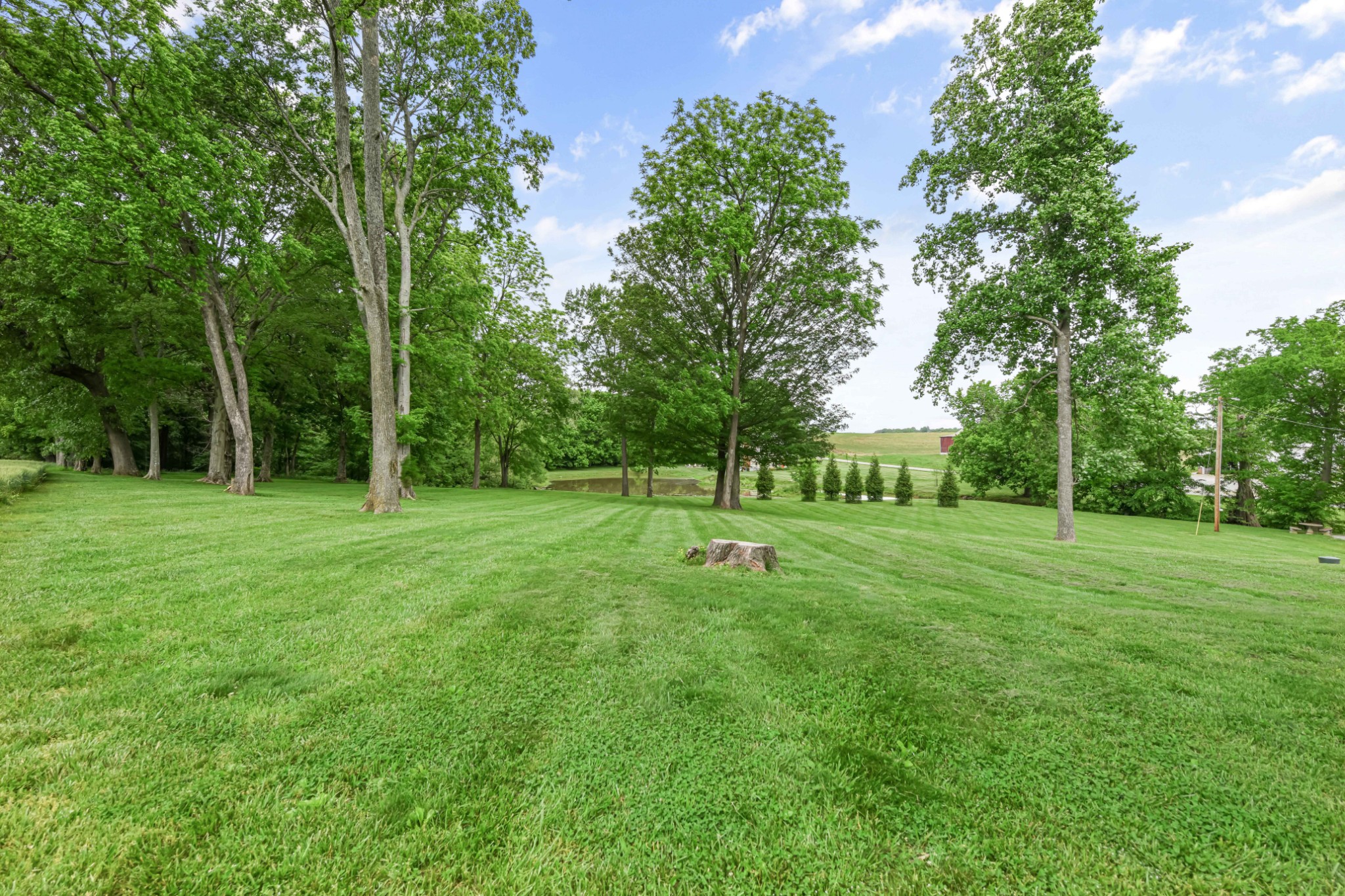 6557 Lamont Road Springfield, TN 37172 - Photo 59 of 62 a view of a park with trees and grass
