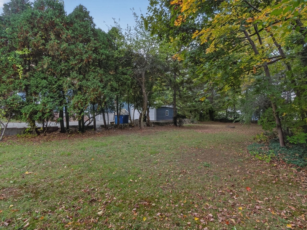 44 Liberty Street Randolph, MA 02368 - Photo 35 of 41 a view of a tree in a yard