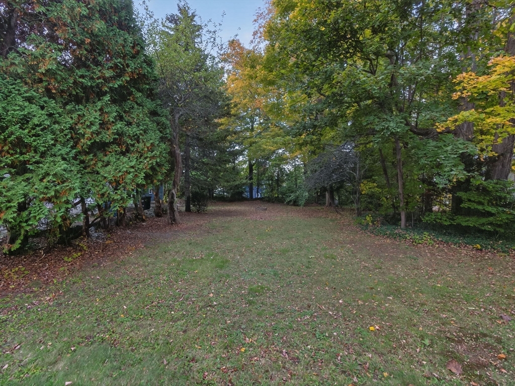 44 Liberty Street Randolph, MA 02368 - Photo 36 of 41 a view of a field with trees in the background