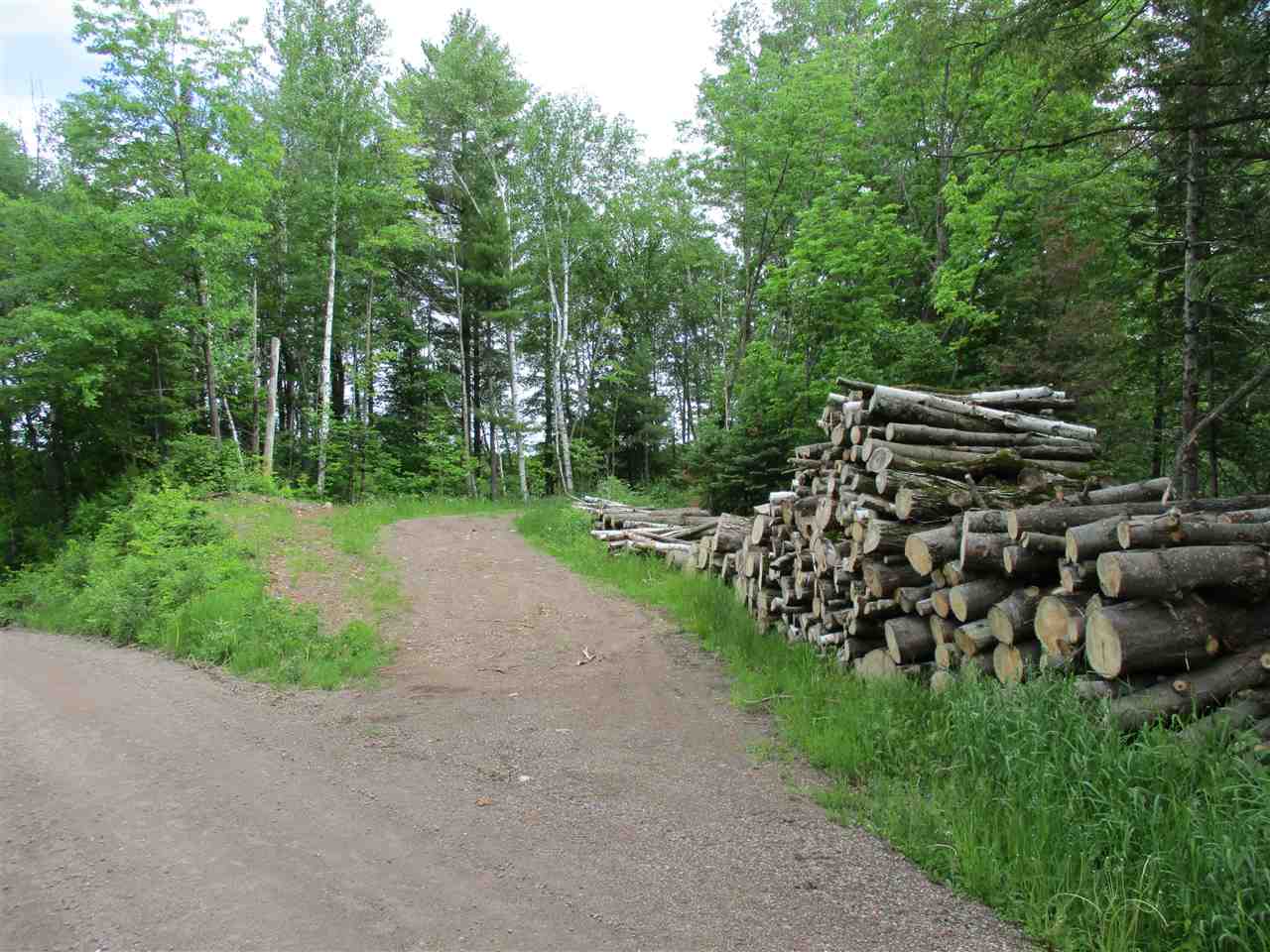 9-acres Upjohn Street Rib Lake, WI 54470 - Photo 1 of 1