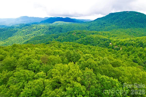 a view of a lush green outdoor space and a mountain view