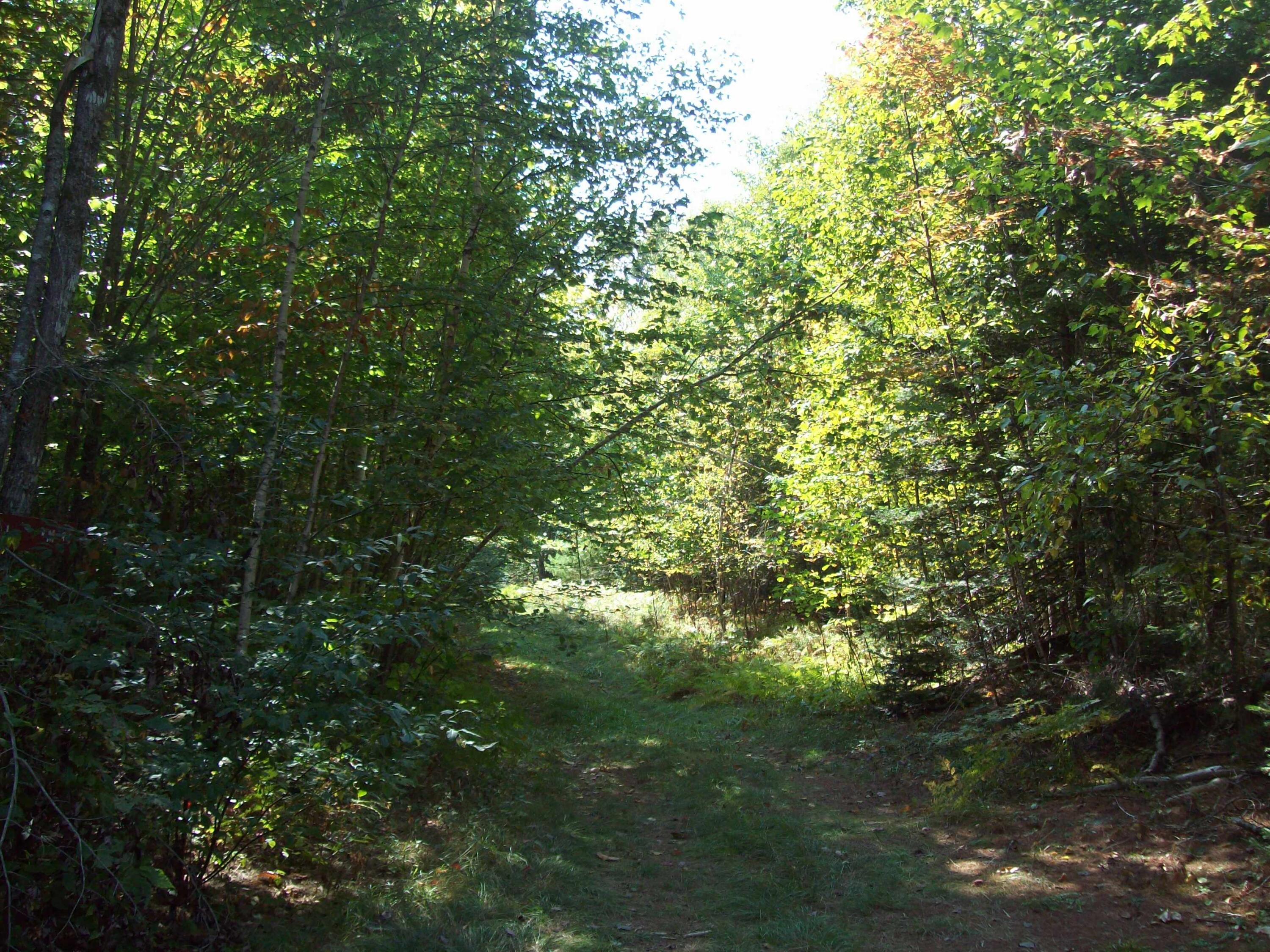 200 Hale Farm Road Lee, ME 04455 - Photo 2 of 21 100_3943