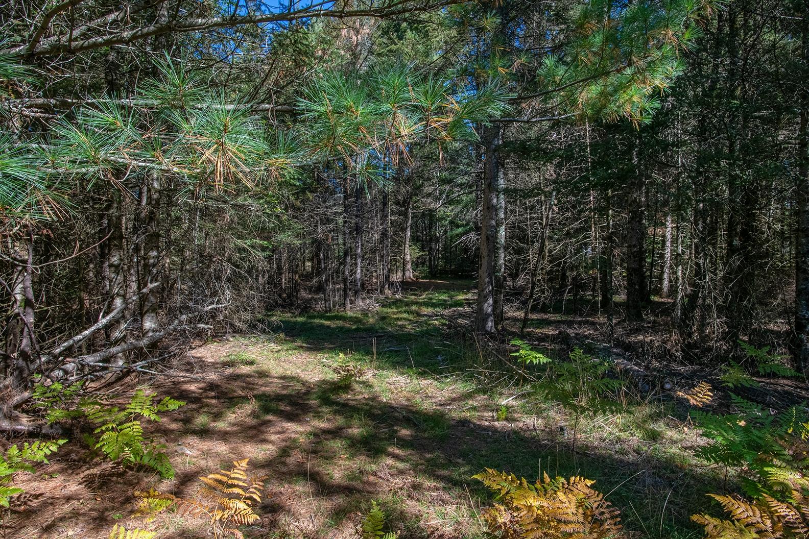 3922 Tre Fiske Road Rhinelander, WI 54501 - Photo 15 of 38 Gallery Image 15