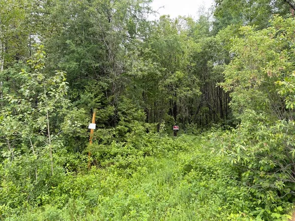 $17,500 | M3-l7-e Fowler Road, Woodland, ME 04736