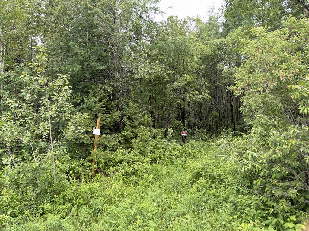 M3-l7-e Fowler Road Woodland, ME 04736 - Photo 1 of 5 Fowler Rd Map 3 Lot 007E