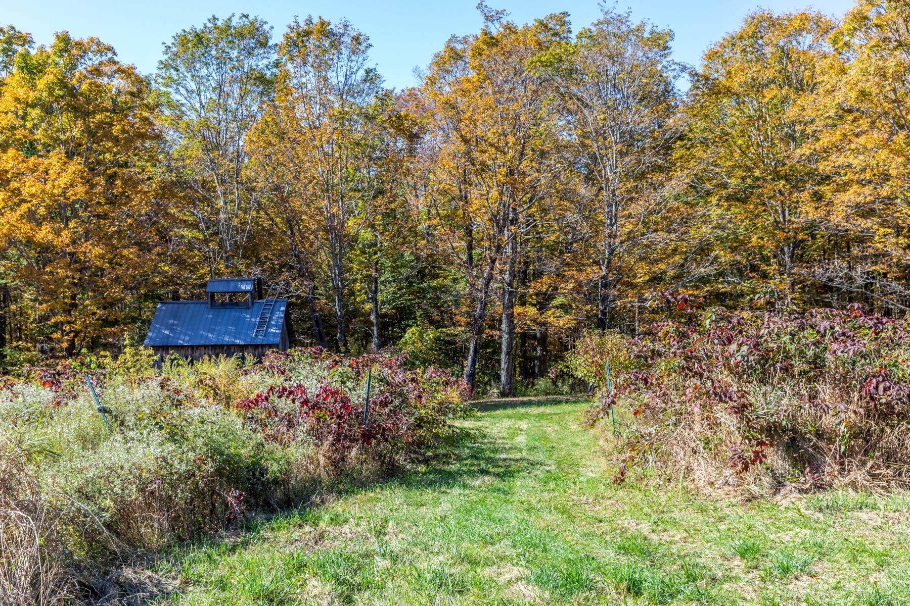1421 Shaw Mansion Road Waterbury, VT 05677 - Photo 28 of 38