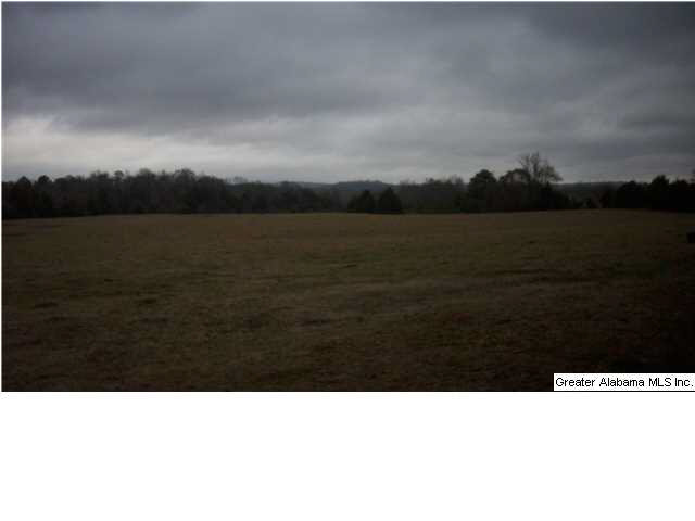 Peaceful Valley Road, Unit 38 5 Eastaboga, AL 36260 - Photo 1 of 11