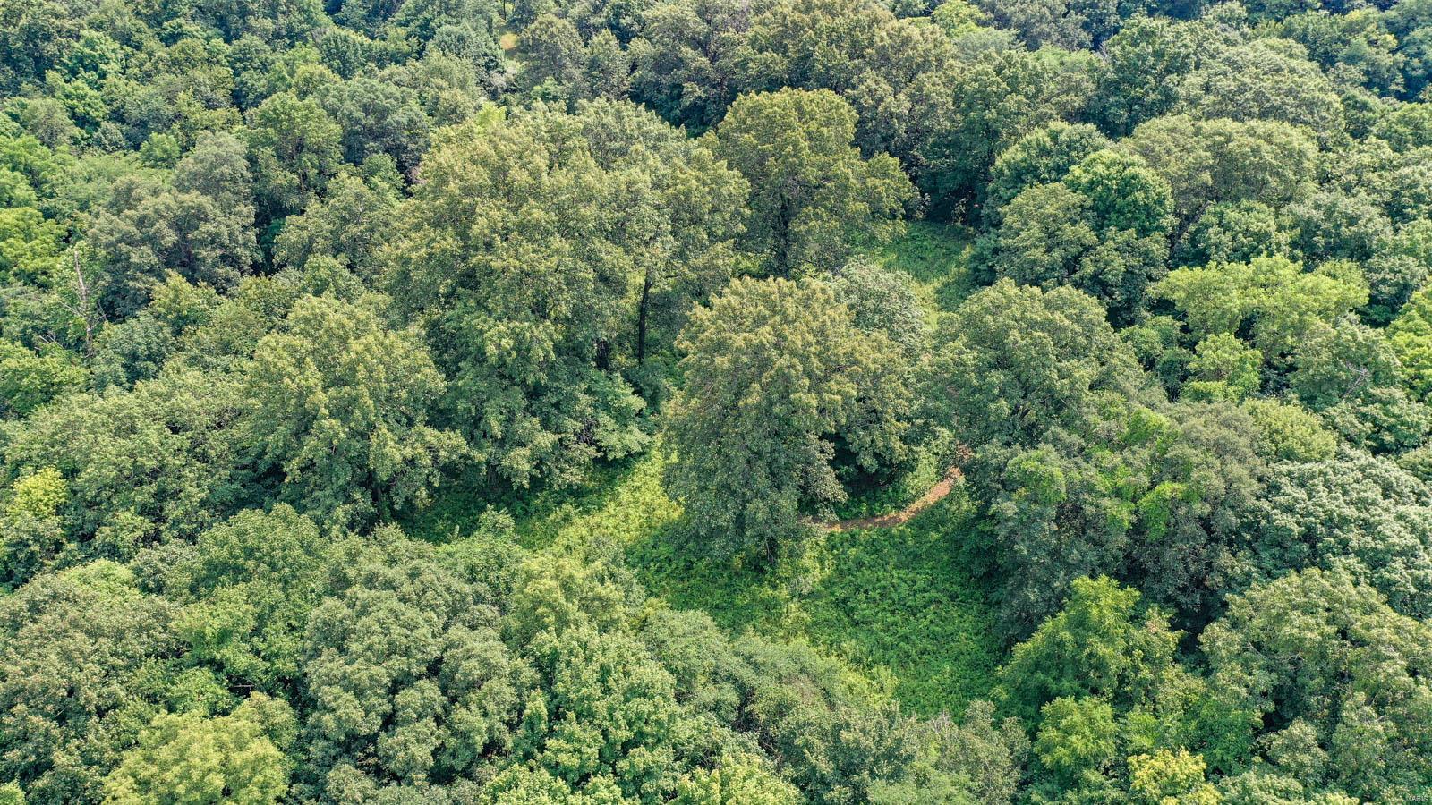 0 Huette Road Dorsey, IL 62021 - Photo 14 of 18