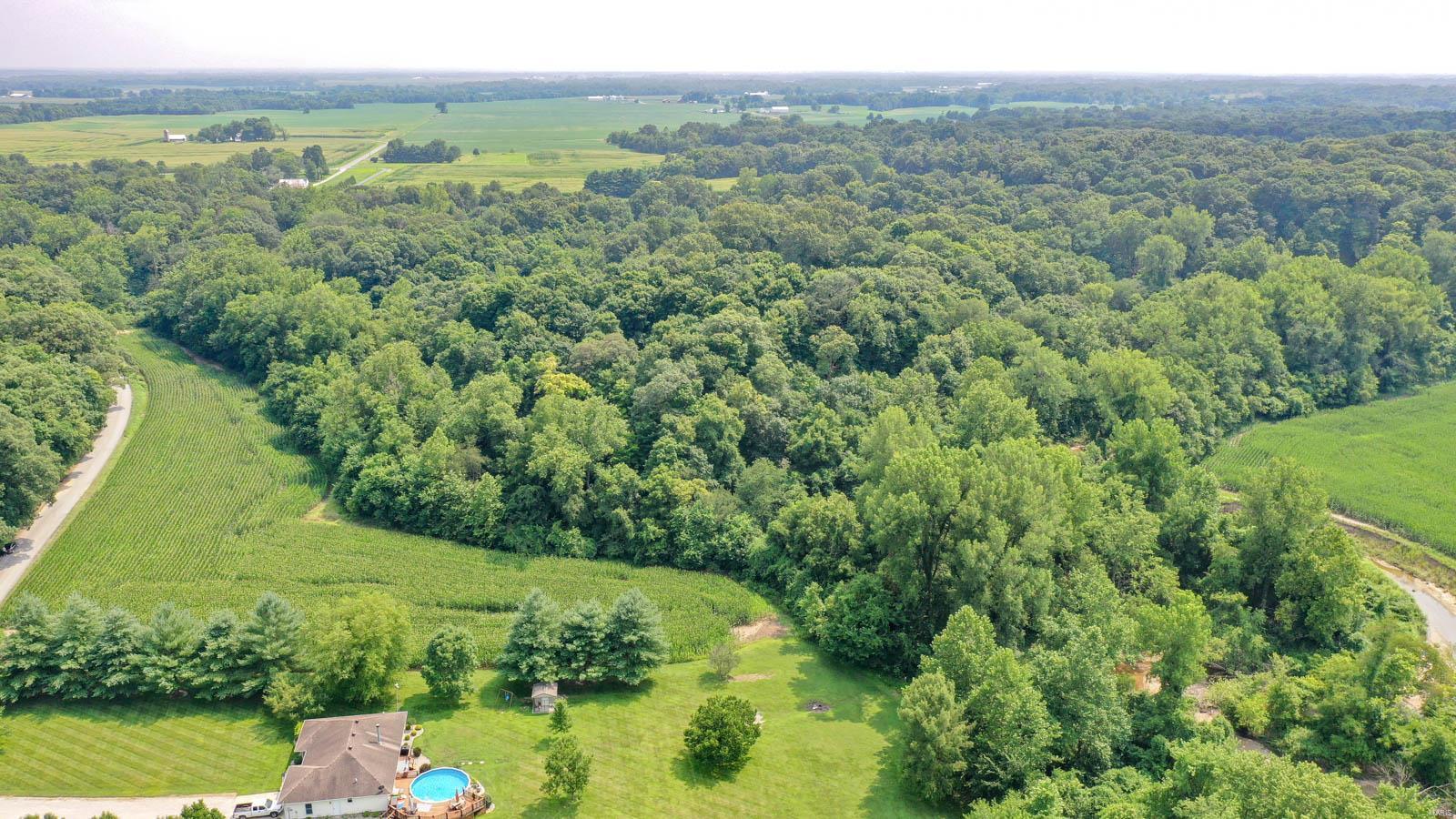 0 Huette Road Dorsey, IL 62021 - Photo 3 of 18