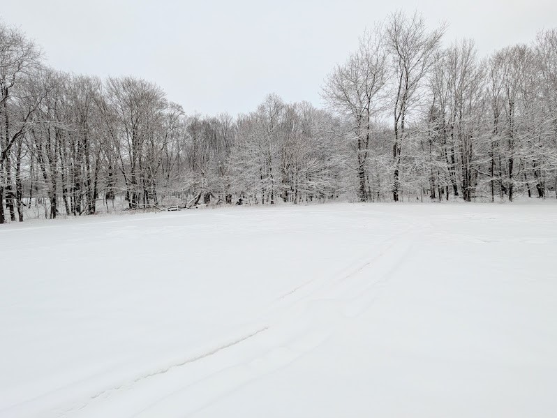 474 Dibble Road Harpersfield, NY 13788 - Photo 28 of 32