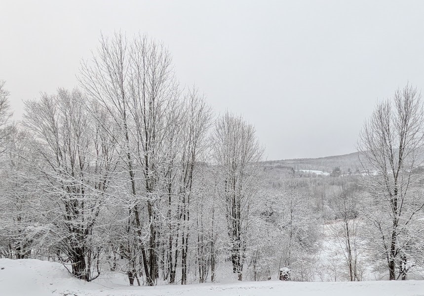 474 Dibble Road Harpersfield, NY 13788 - Photo 29 of 32