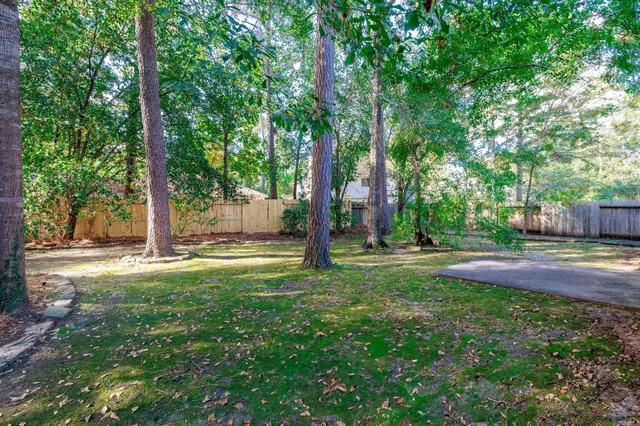 a backyard of a house with plants and large tree