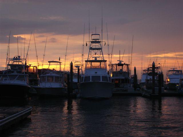 3702 Docksite Road, Unit B1 Edisto Island, SC 29438 - Photo 13 of 18 10a