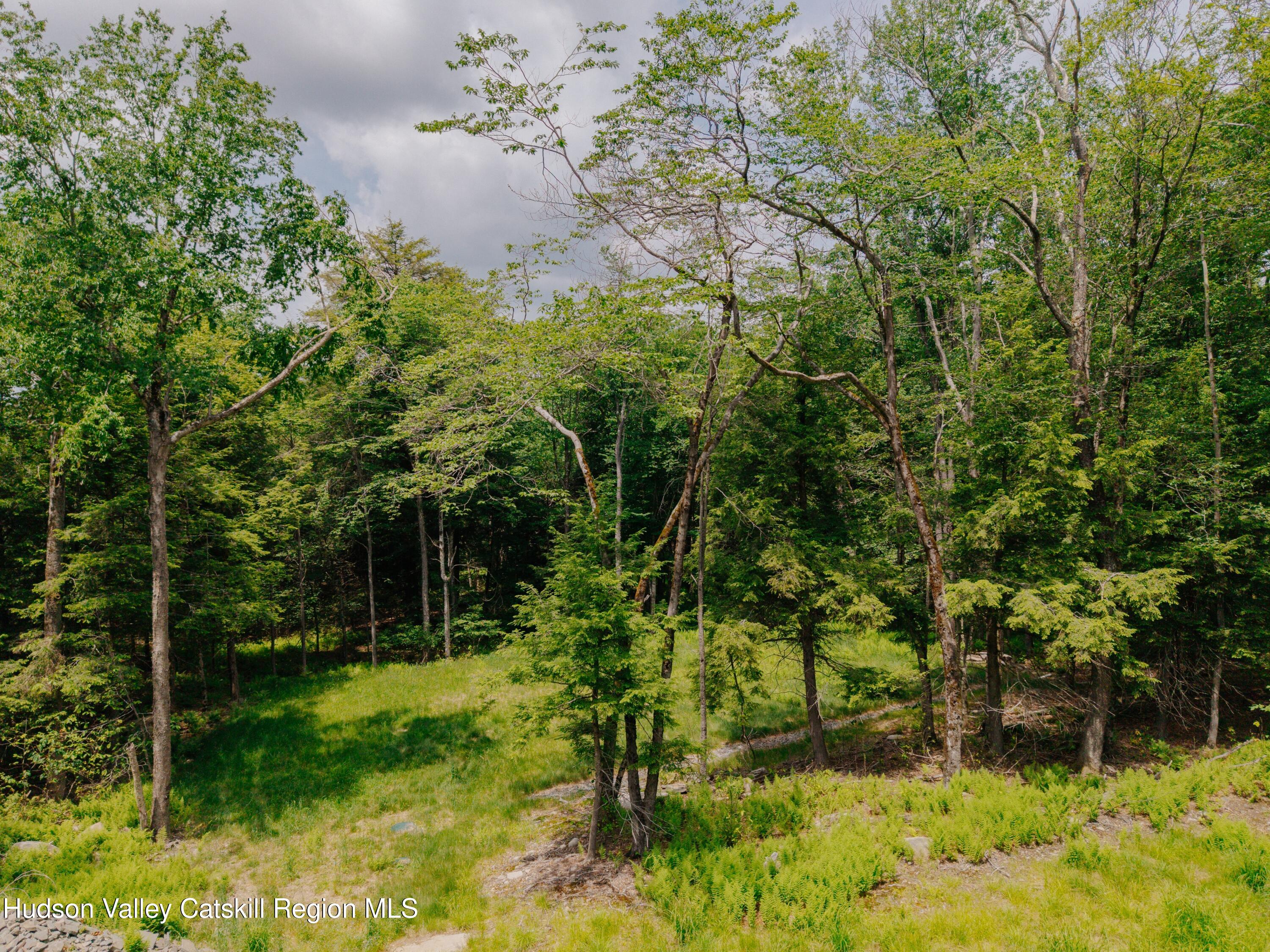 Tbd Church Lake Road Livingston Manor, NY 12758 - Photo 27 of 33 shandelee-woods-thatupstateagent-1-27