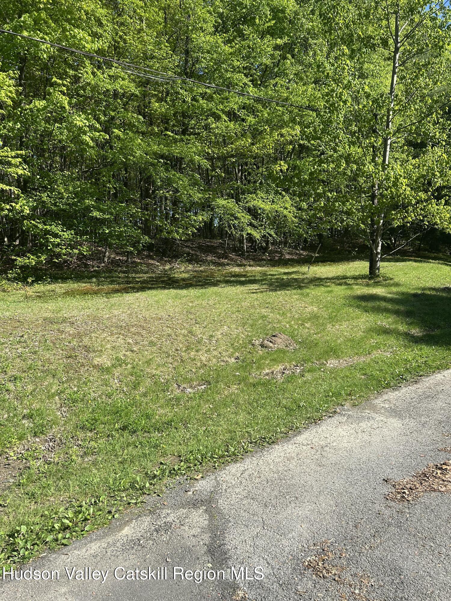 411 Plattekill Road Marlboro, NY 12542 - Photo 12 of 26 a view of a field with an trees