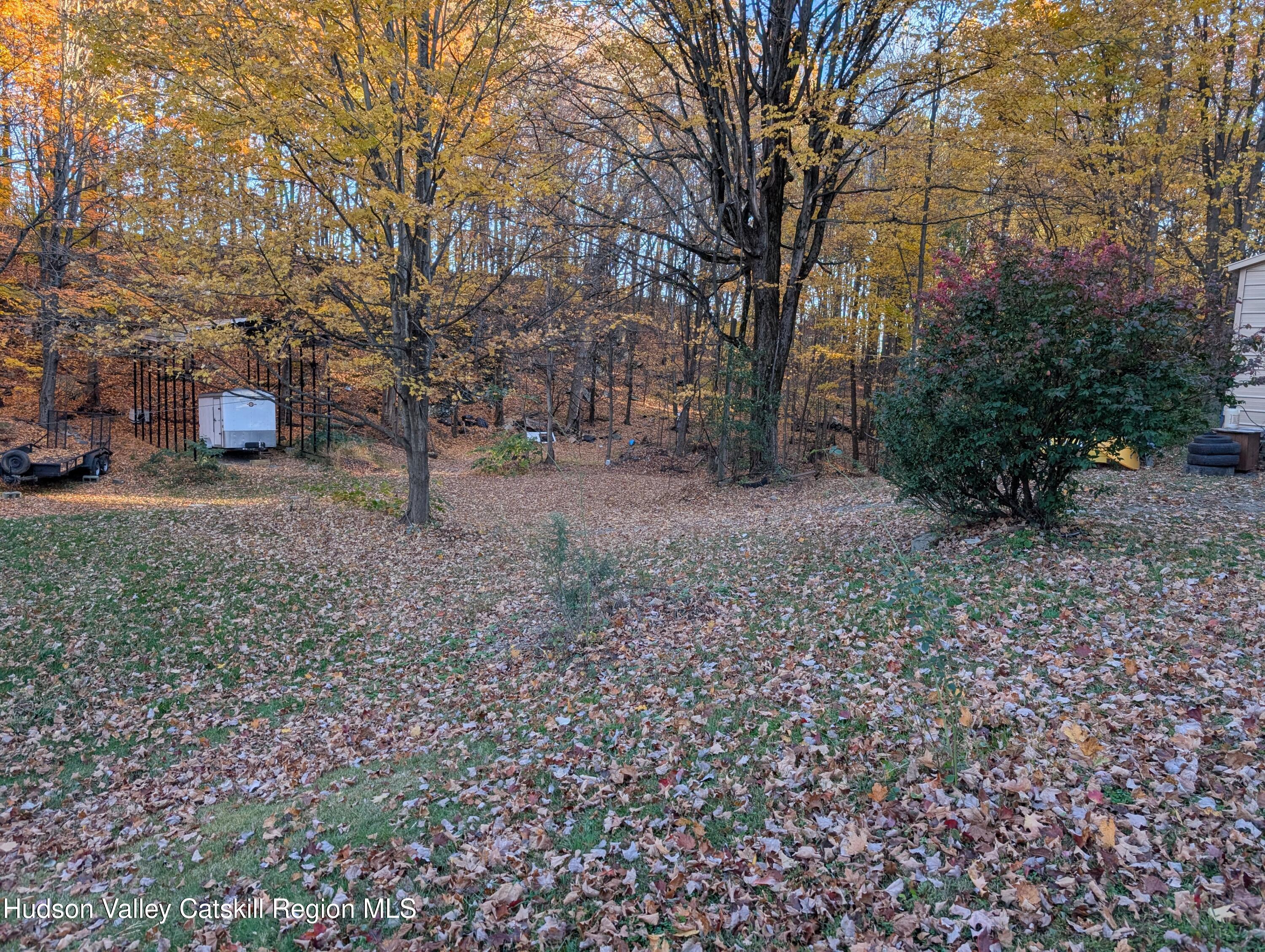 411 Plattekill Road Marlboro, NY 12542 - Photo 15 of 26 a view of a yard with a tree