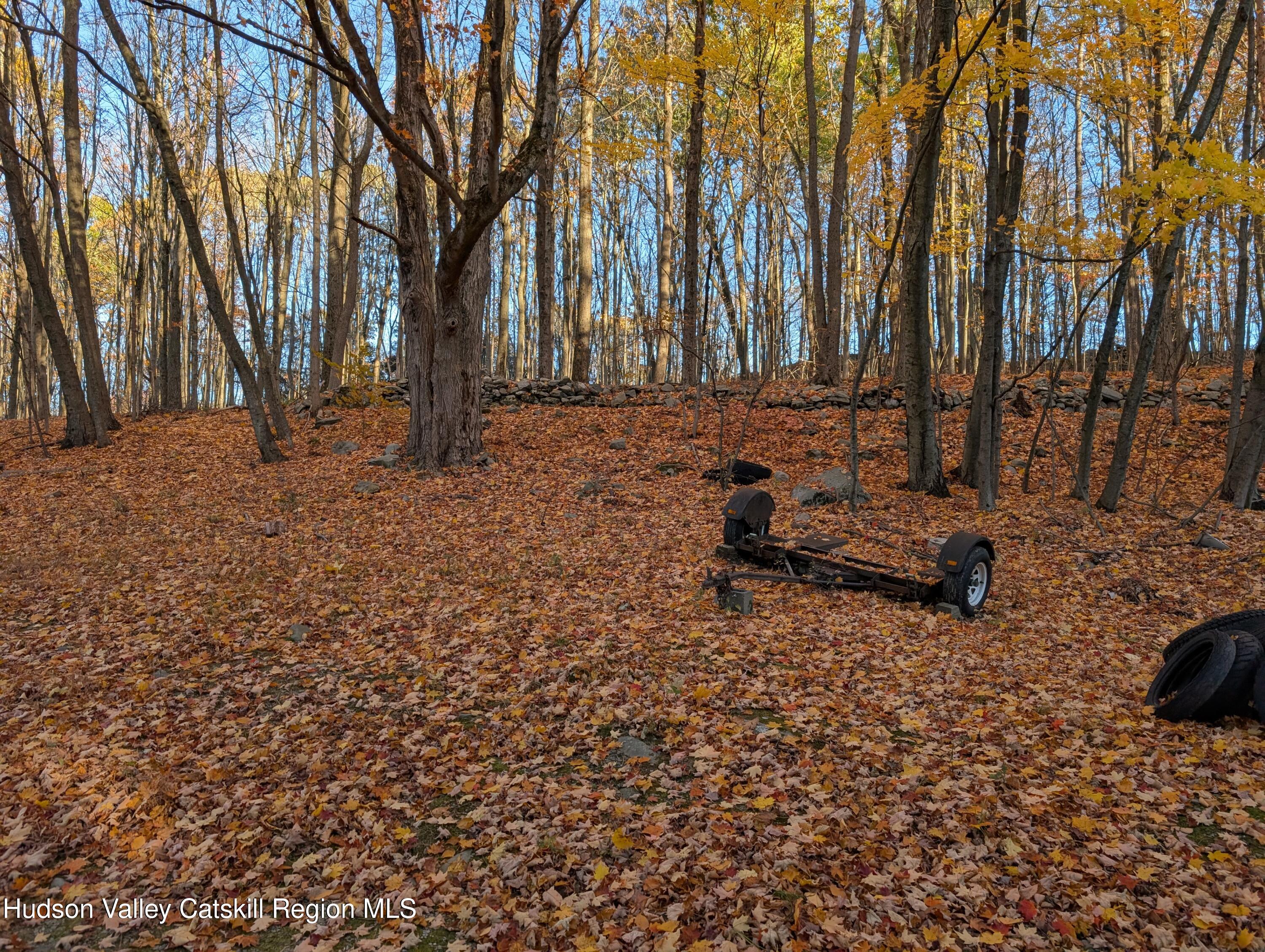 411 Plattekill Road Marlboro, NY 12542 - Photo 9 of 26 a view of backyard with large trees