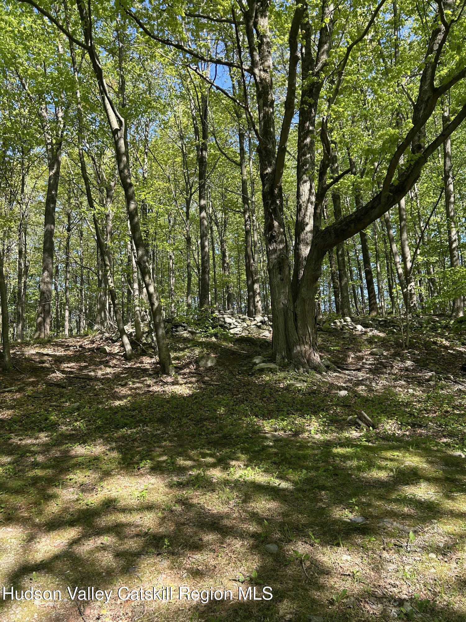 411 Plattekill Road Marlboro, NY 12542 - Photo 10 of 26 a view of outdoor space with yard
