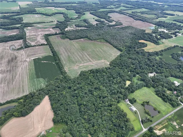 $206,615 | 0 Hug Cemetery Road, Pocahontas, IL 62275