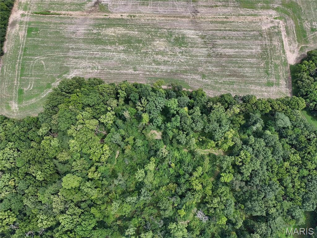 0 Hug Cemetery Road Pocahontas, IL 62275 - Photo 14 of 20