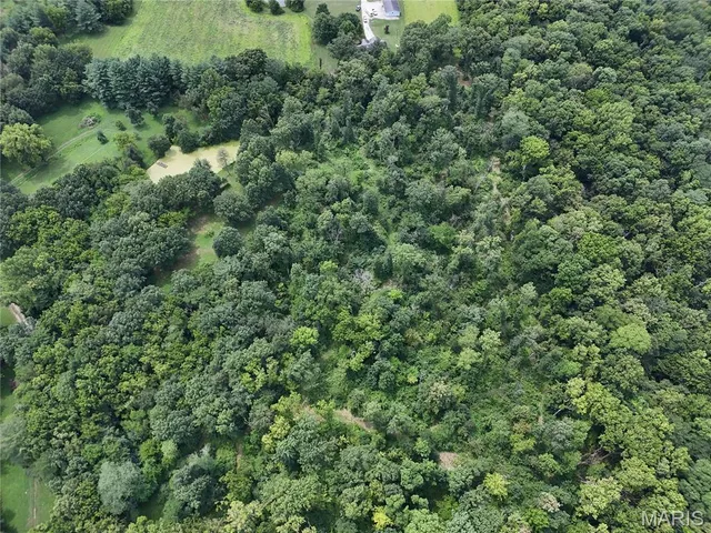 $206,615 | 0 Hug Cemetery Road, Pocahontas, IL 62275