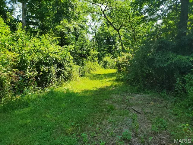 $206,615 | 0 Hug Cemetery Road, Pocahontas, IL 62275