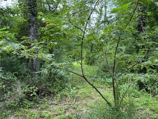 $206,615 | 0 Hug Cemetery Road, Pocahontas, IL 62275