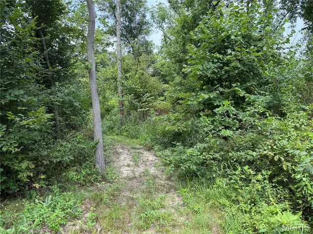 $206,615 | 0 Hug Cemetery Road, Pocahontas, IL 62275